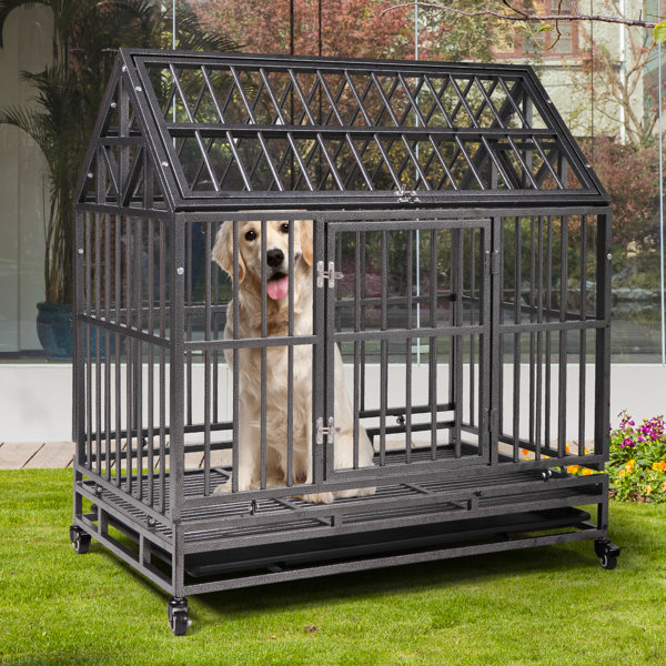 Aike Home Tall Heavy Metal Dog Pen Wayfair